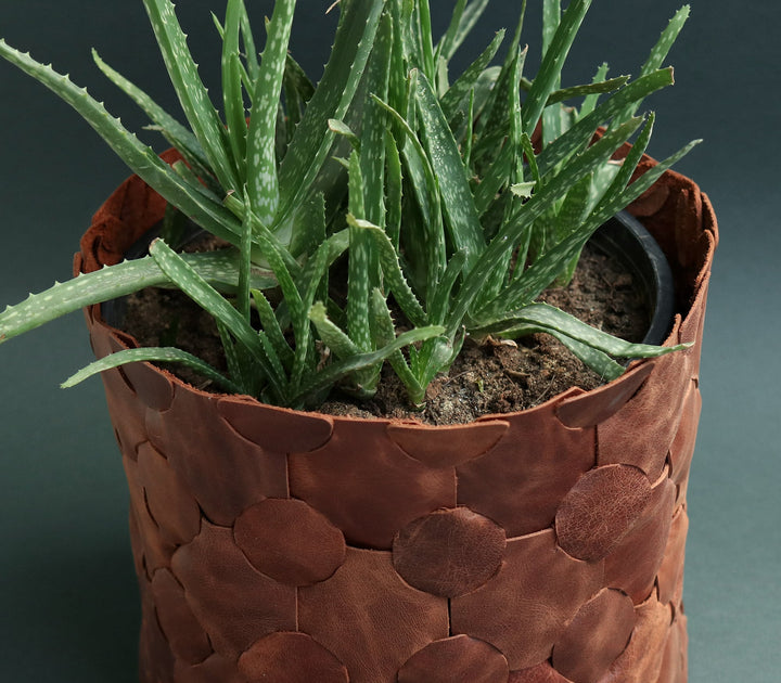 Örgü Deri Saksı Kılıfı - Roarcraft TR